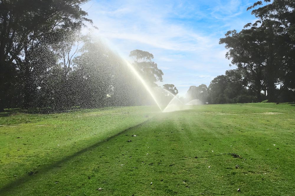 Irrigation on the green