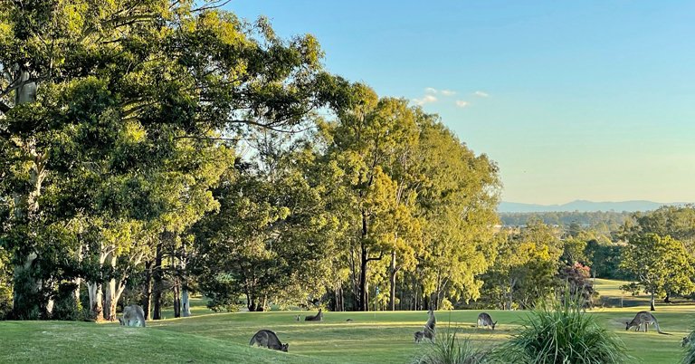 Queensland Golf Course Project