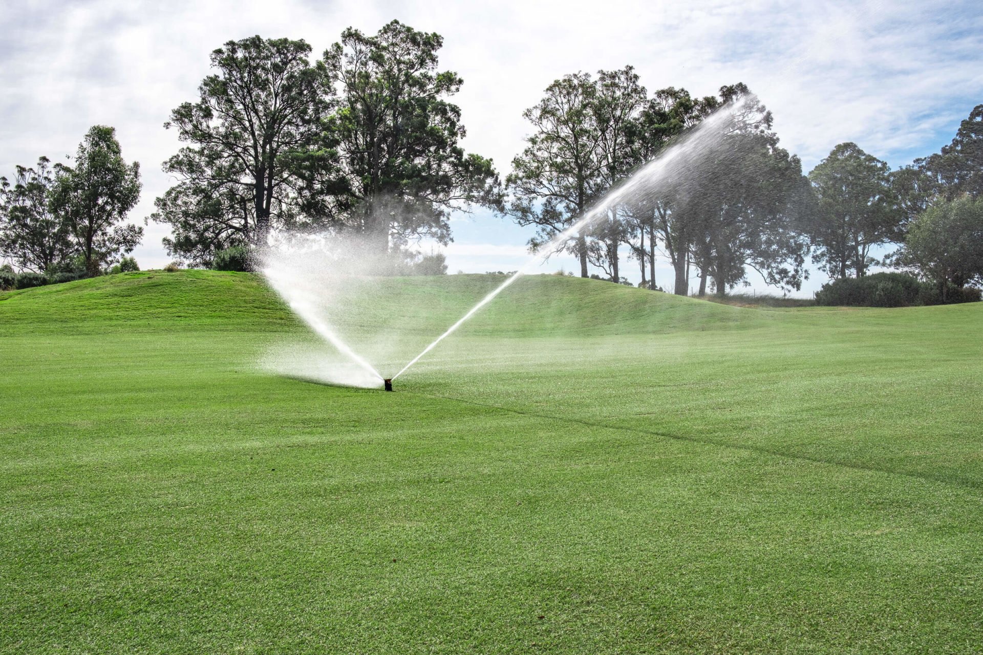 Irrigation in use